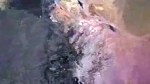 Snapshot of maho0 chatting on December 13, 7:36 am maho0 online show from December 13, 7:36 am