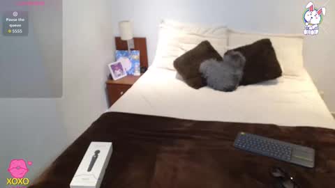    t  online show from October 12, 2:10 am