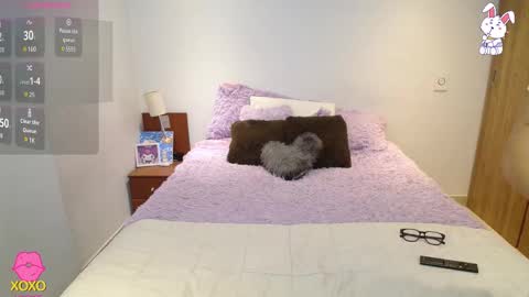    t  online show from November 11, 2:33 am