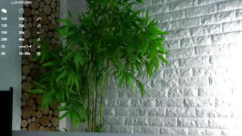 Lucy online show from April 8, 2:11 am