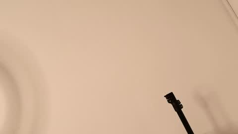 Lory  online show from April 12, 6:57 pm