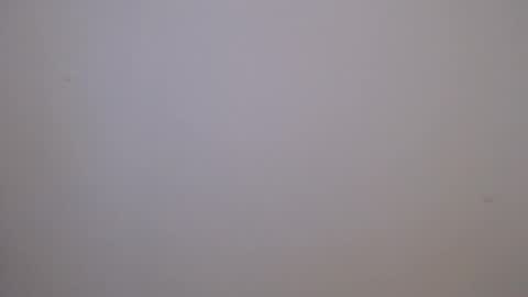 maluma4you online show from April 6, 1:14 am