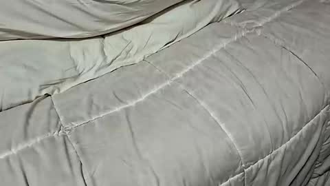 Dickinabox online show from November 17, 8:42 am