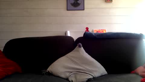 Snapshot of manpower2012 chatting on October 12, 1:43 pm Manpo online show from October 12, 1:43 pm