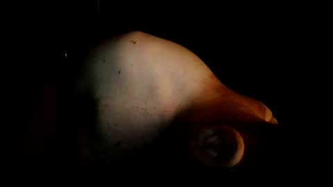 guywittitsndick online show from August 2, 8:35 am