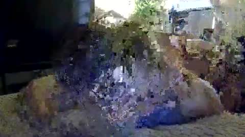 Snapshot of marc_313 chatting on May 9, 10:42 am Marc online show from May 9, 10:42 am