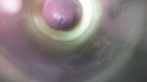 Marc online show from February 19, 8:49 pm