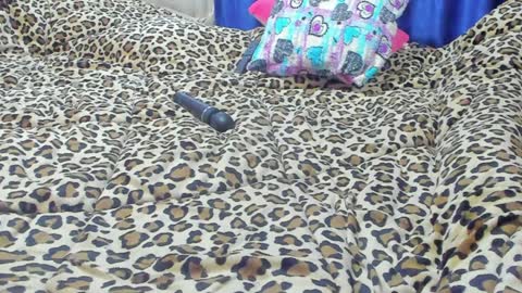 Snapshot of marie_marie03 chatting on January 23, 1:56 pm Marie online show from January 23, 1:56 pm