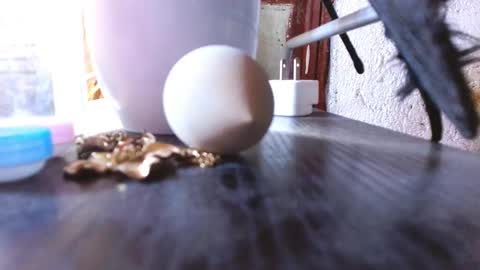 Snapshot of mariposa_911 chatting on March 1, 9:07 am LEAH online show from March 1, 9:07 am