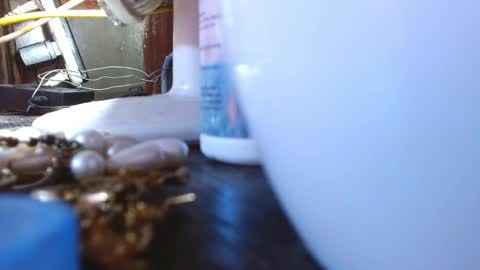 Snapshot of mariposa_911 chatting on March 9, 4:05 am LEAH online show from March 9, 4:05 am