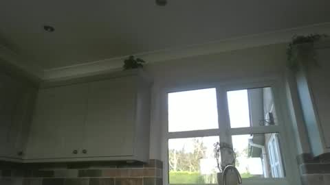 martinrgbxxxx online show from February 23, 9:28 am