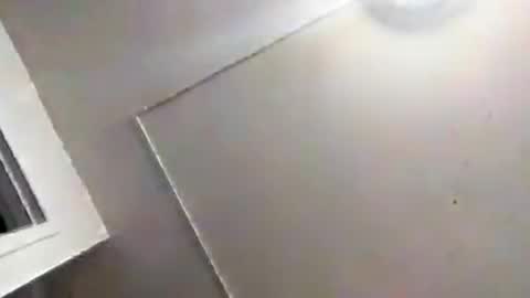 marty74841 online show from July 14, 5:01 am