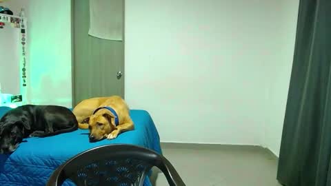 Snapshot of mary_jane1_ chatting on October 31, 2:12 am mary online show from October 31, 2:12 am