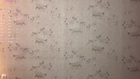 Snapshot of maryellensiewert chatting on February 17, 8:04 pm Stephie online show from February 17, 8:04 pm