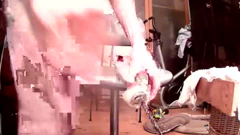 maschpro online show from October 24, 5:09 pm