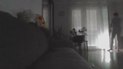 Snapshot of masoni_devil_take_xy chatting on May 24, 1:49 pm Nikola online show from May 24, 1:49 pm