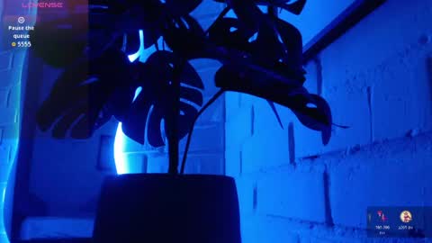 MATEO HUNTER online show from April 15, 6:20 am