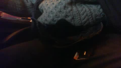 Maturedaddi online show from January 3, 7:07 pm