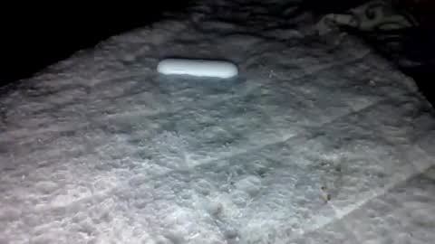 mauricescott online show from February 3, 6:22 am