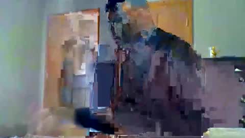 mauricescott online show from April 11, 8:13 pm