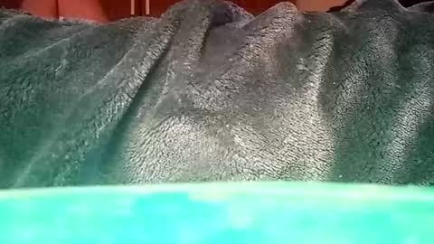 Snapshot of mauriciano2018 chatting on January 12, 1:37 pm Ignacio online show from January 12, 1:37 pm