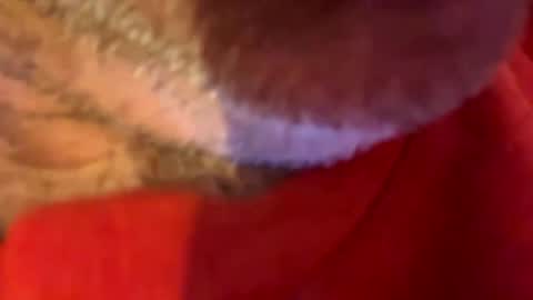 maverick7000 online show from October 31, 8:59 am