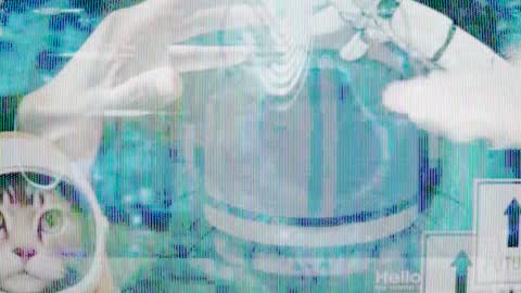 Snapshot of max_original chatting on January 28, 7:00 pm Future Max online show from January 28, 7:00 pm