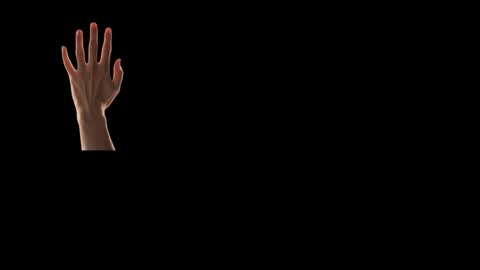 Snapshot of max_original chatting on February 24, 4:26 pm Future Max online show from February 24, 4:26 pm