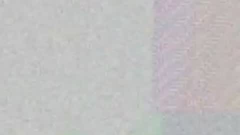 Max Taylor online show from April 7, 3:51 am