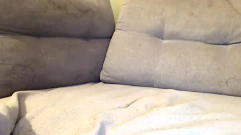 maximemax14 online show from February 25, 8:18 pm