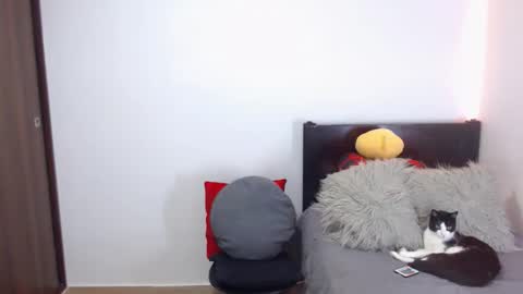 Independent Model online show from February 18, 2:51 am