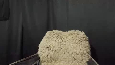 Snapshot of maximus_oreally chatting on January 7, 11:16 am Max online show from January 7, 11:16 am