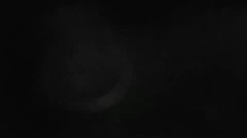 Snapshot of maximus_oreally chatting on February 18, 11:00 am Max online show from February 18, 11:00 am