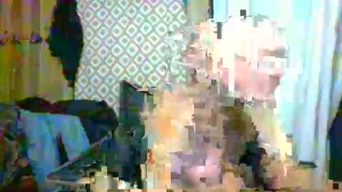 Snapshot of maximus_oreally chatting on February 19, 8:33 am Max online show from February 19, 8:33 am