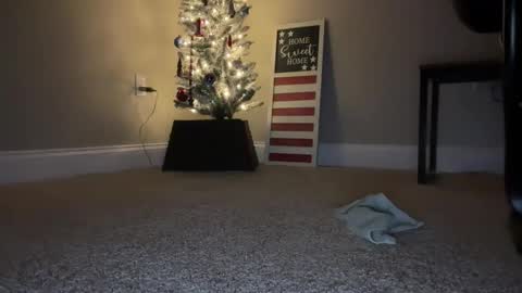 maxx276828 online show from November 22, 4:44 am