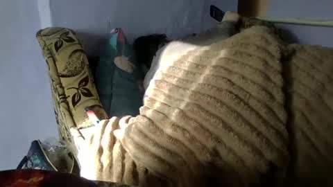 Oltereodora-lima online show from January 10, 8:40 am