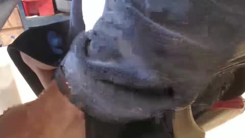 Snapshot of mee9090e900 chatting on September 19, 11:11 am mee9090e900 online show from September 19, 11:11 am