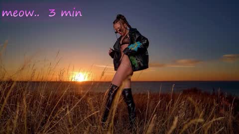 Sweet Meow nonude online show from November 18, 1:11 am