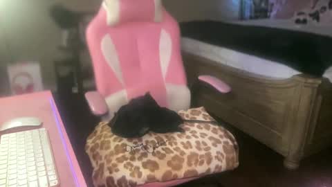 Southern Peach online show from September 27, 4:17 am