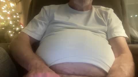 Snapshot of megabigkahuna chatting on December 26, 6:19 am whatever you want it to be online show from December 26, 6:19 am