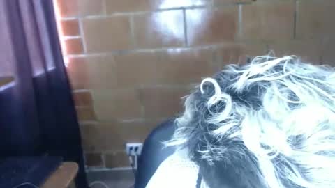 Megan and sophi online show from April 7, 5:13 pm