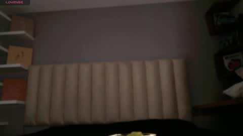     online show from February 2, 12:37 pm