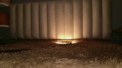     online show from March 18, 12:52 pm