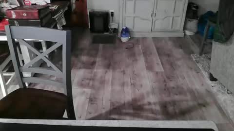 Snapshot of meganfitzy chatting on February 26, 12:27 am GlamTransGoddess online show from February 26, 12:27 am