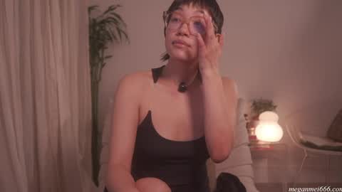 Snapshot of meganmei666 chatting on April 29, 2:04 am for more 3 online show from April 29, 2:04 am
