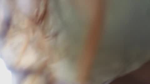 Megan online show from February 18, 11:17 am