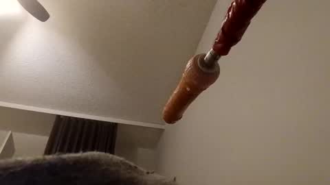 meheriuk68 online show from December 17, 12:16 am