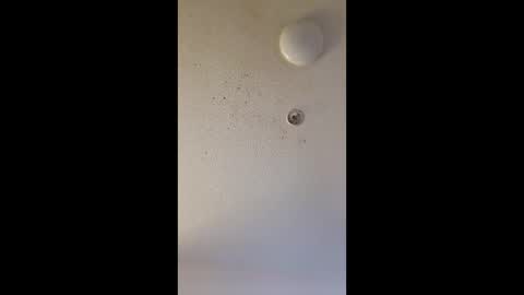 mel_hart_jr online show from March 25, 7:47 am