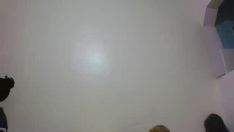 Baby online show from February 12, 6:25 pm