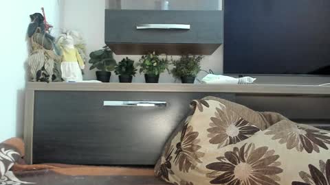 MellyMell  online show from January 30, 11:02 pm